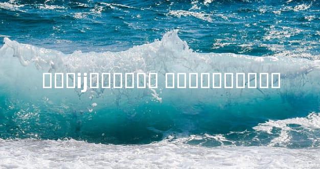 Ӥ��ĳ�����ʽ �ܿ��������